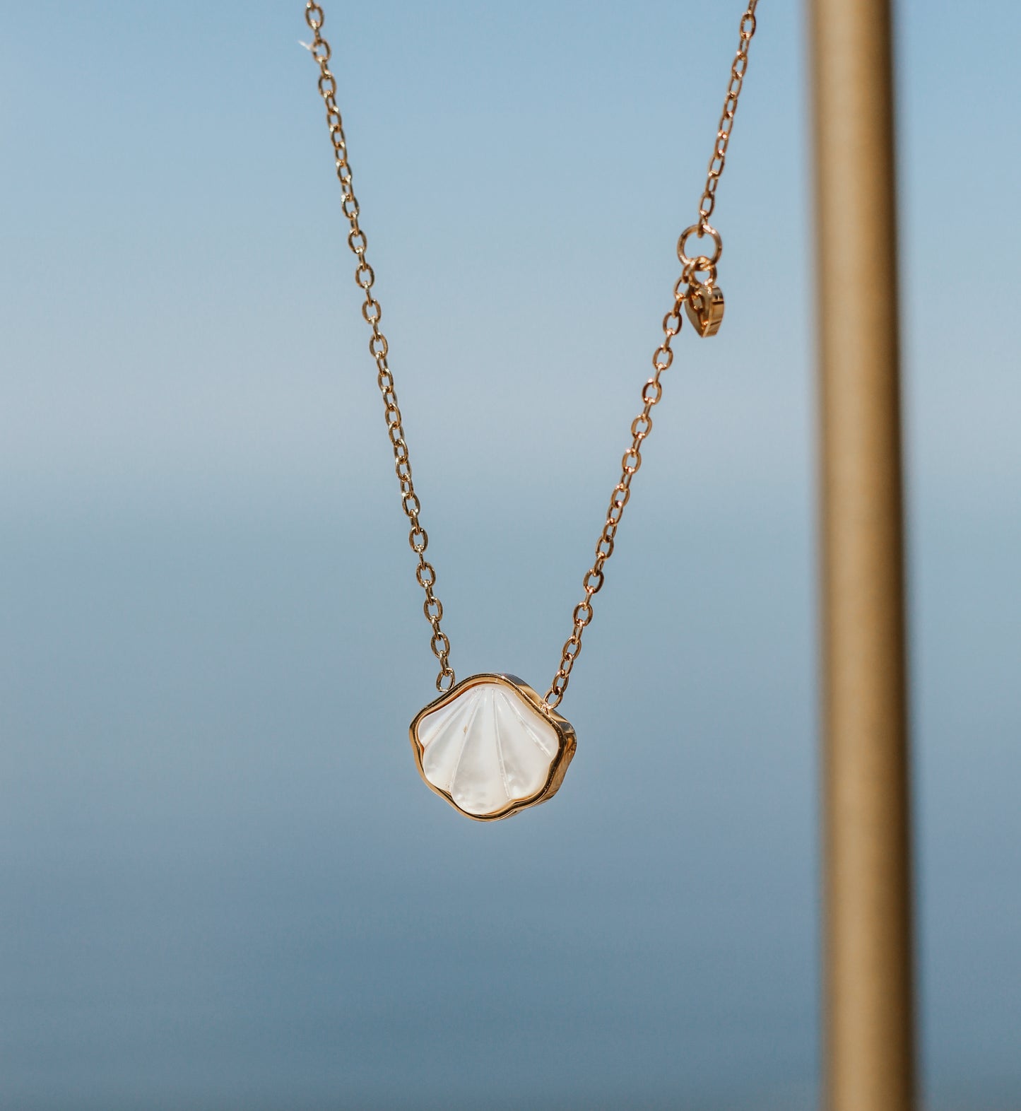 White Shell