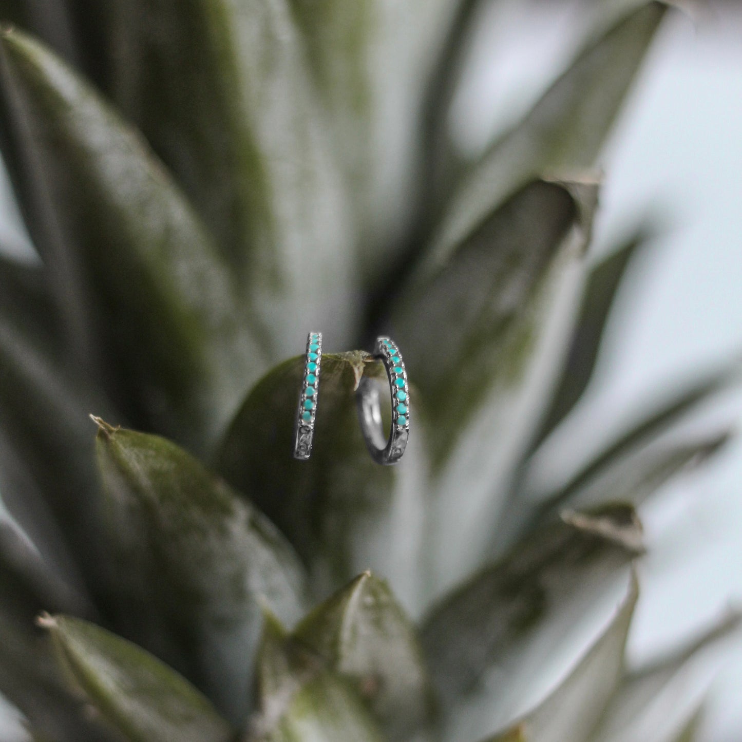 Lagoon hoops