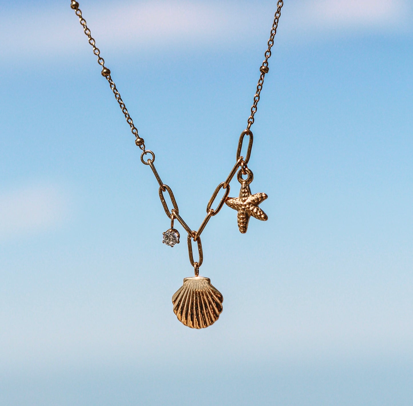 Coastal shell