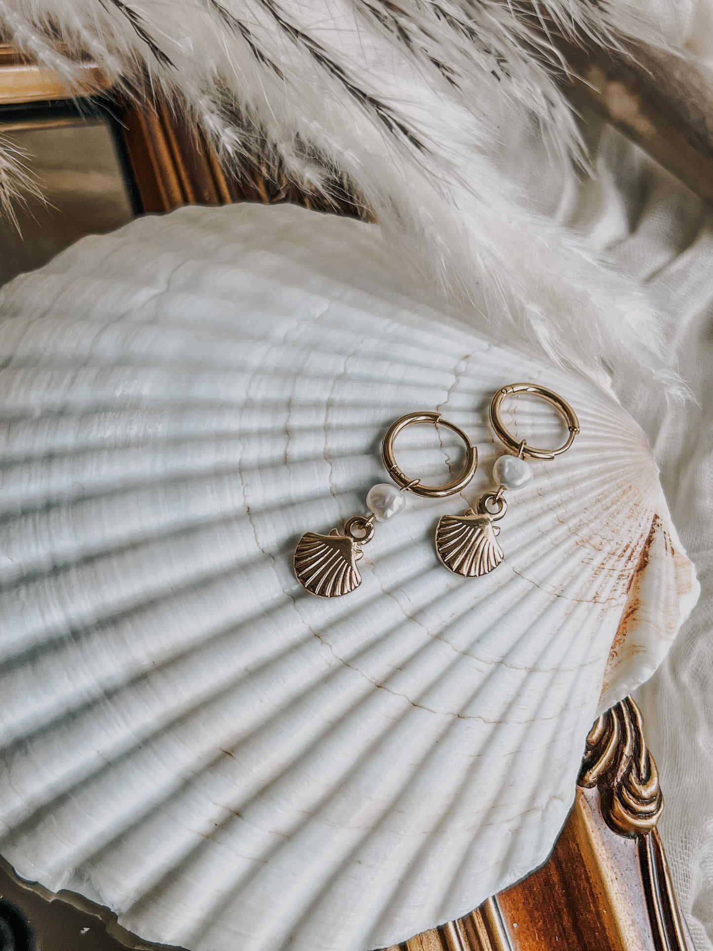 Seashell earrings