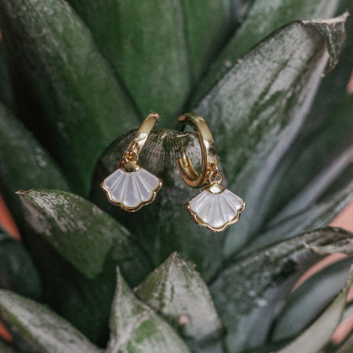 White Shell earrings